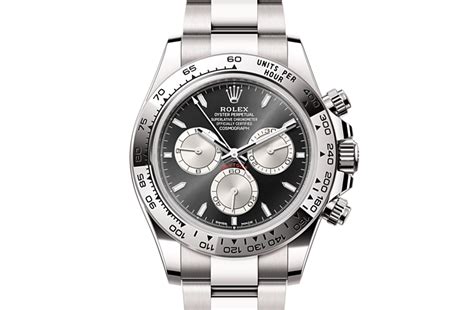 rolex marcolino